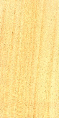 Ayous or African Whitewood