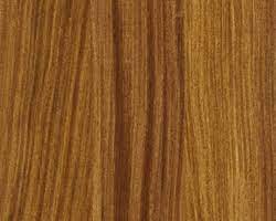 African Teak